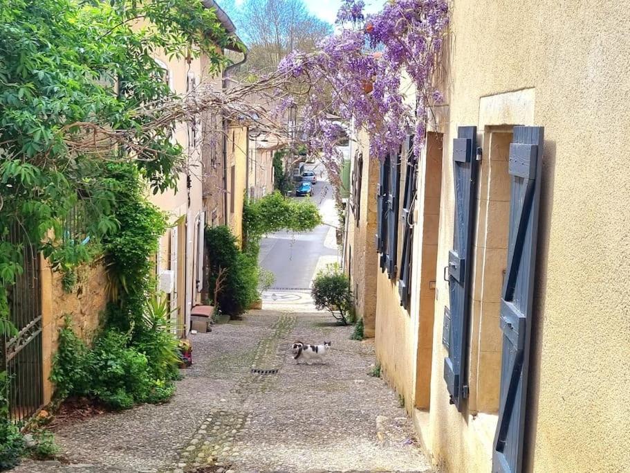 Romantique Room St Michel De Lanes Saint-Michel-de-Lanès Exteriör bild